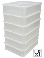 Pizzateigbehälter Set 6 Stk. mit Klickdeckel transparent stapelbar für Pizzeria und Hobby