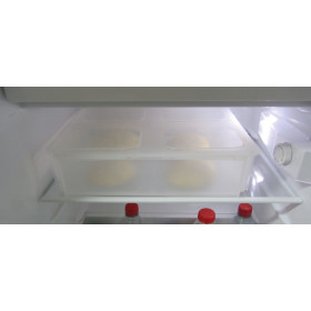 1 x Teigballenbehälter transluzent Größe 35,5 x 27,5 x 8,5 cm + 1 x Klickdeckel transparent