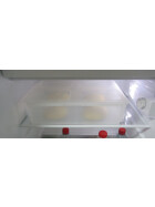 Pizzateigbehälter Set 2 Stk. mit Klickdeckel transparent stapelbar für Pizzeria und Hobby