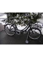 Postfahrrad e-Hopper mit Rollenständer