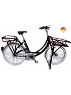 Postfahrrad e-Hopper mit Rollenständer Schwarz 7-Gang