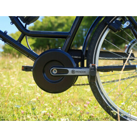 Werksrad Parad 2026 Profi - Sondermodel -