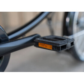 Werksrad Parad 2026 Profi - Sondermodel -