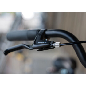 Werksrad Parad 2026 Profi - Sondermodel -