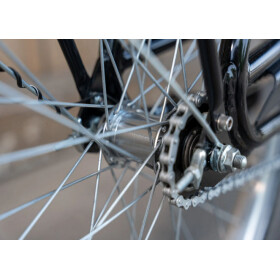 Werksrad Parad 2026 Profi - Sondermodel -