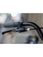 Werksrad Parad 2026 Profi - Sondermodel -