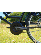 Werksrad Parad 2026 Profi - Sondermodel -