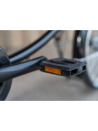 Werksrad Parad 2026 Profi - Sondermodel -