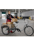 Lastendreirad Cargo-Wheeler Ladefläche: 82 x 60 x 25 cm Rot ohne e-Antrieb