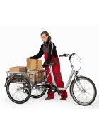 Lastendreirad Cargo-Wheeler Ladefläche: 82 x 60 x 25 cm Rot ohne e-Antrieb